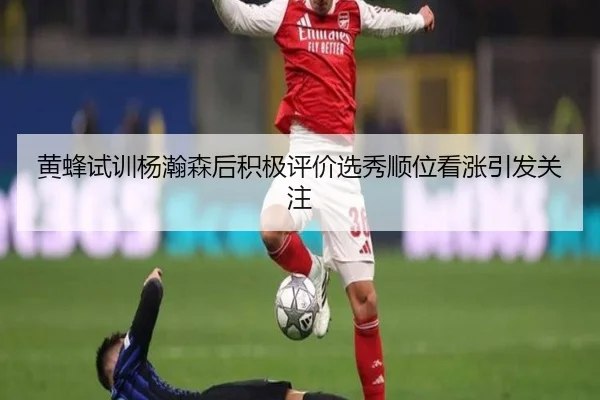 黄蜂试训杨瀚森后积极评价选秀顺位看涨引发关注